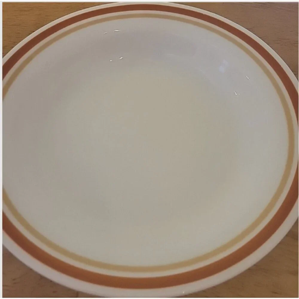 Corelle Cinnamon Dinner Plate GrandmaCore VTG Made in USA 10.25